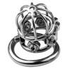 CockLock Cage de chasteté en métal Spike Cock 6 x 3.2cm